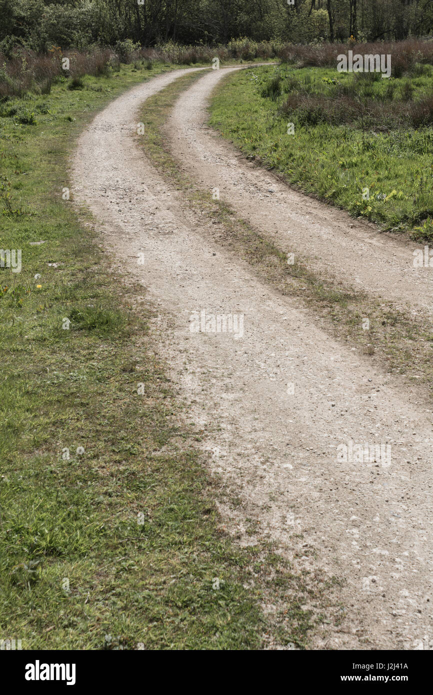 Kornische Spur, die in die Ferne führt. Metapher zahlreiche Sprüche auf Straßen. Bleiben Sie auf dem richtigen Weg / richtige Spur Metapher, lange Straße voraus, Straße endet Stockfoto