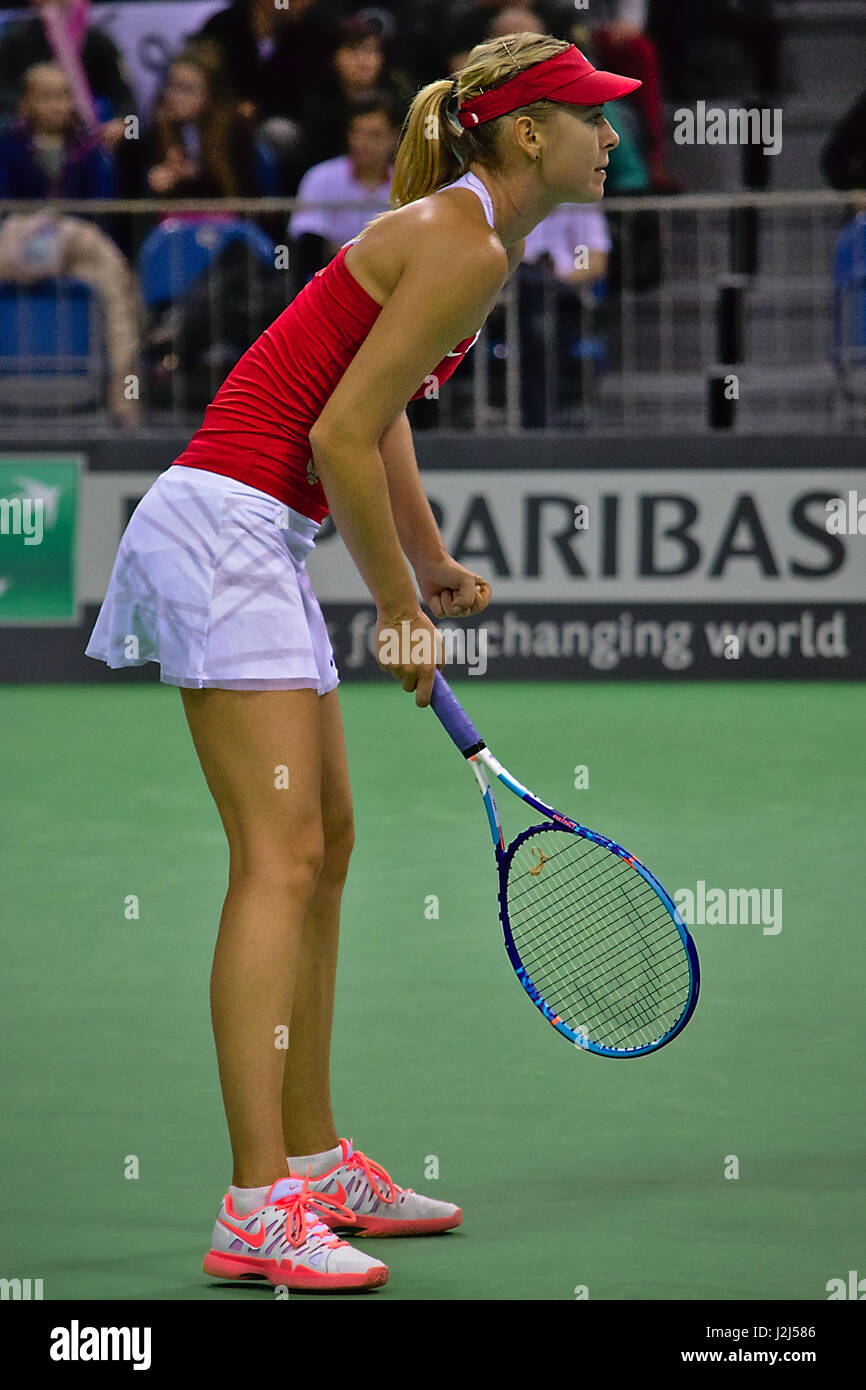 maria-sharapova-beine-fotos-und-bildmaterial-in-hoher-aufl-sung-alamy