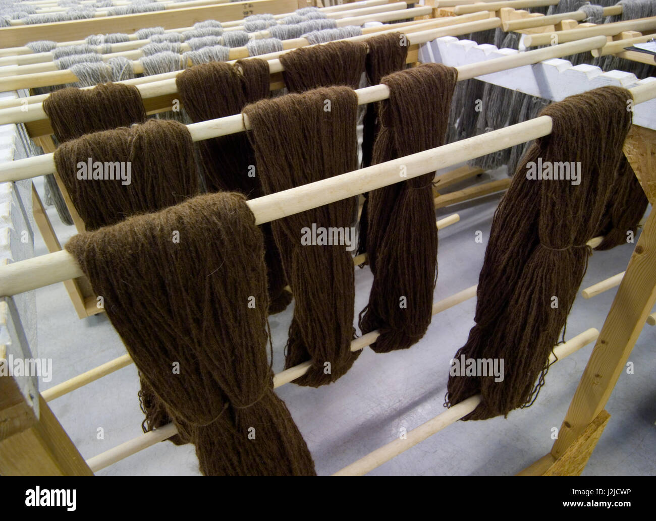 Hanks Bio Alpaka-Wolle beim Trocknen Regale in einer Textilfabrik Stockfoto