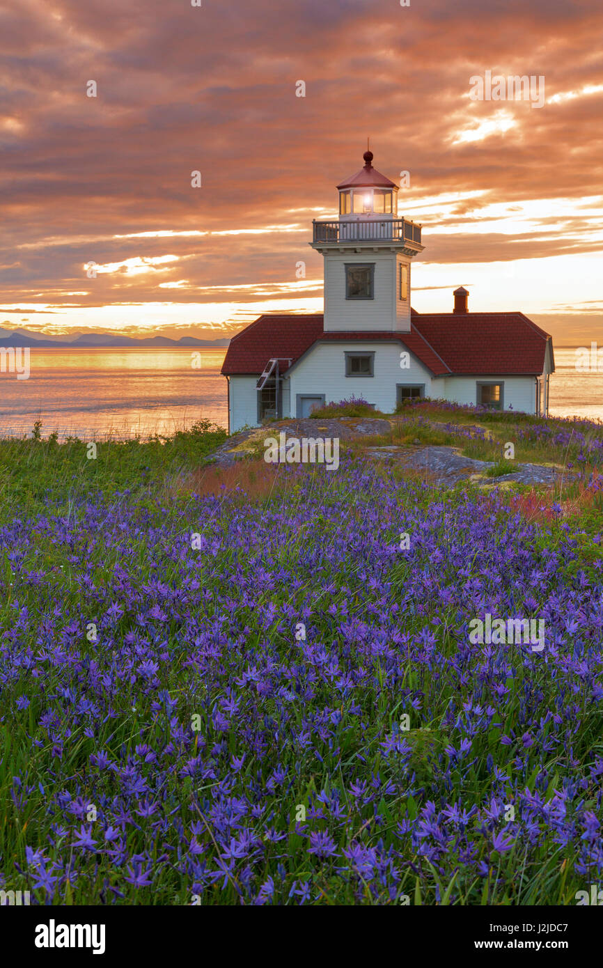 USA, Washington State, San Juan Inseln. Patos Leuchtturm und Camas Blumen bei Sonnenuntergang. Kredit als: Don Paulson / Jaynes Galerie / DanitaDelimont.com Stockfoto