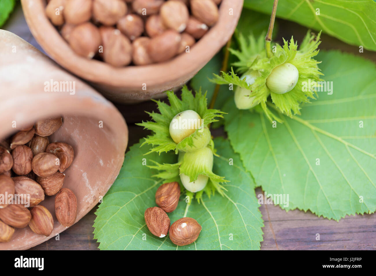 frische Haselnüsse auf einem hölzernen Hintergrund im freien Stockfoto