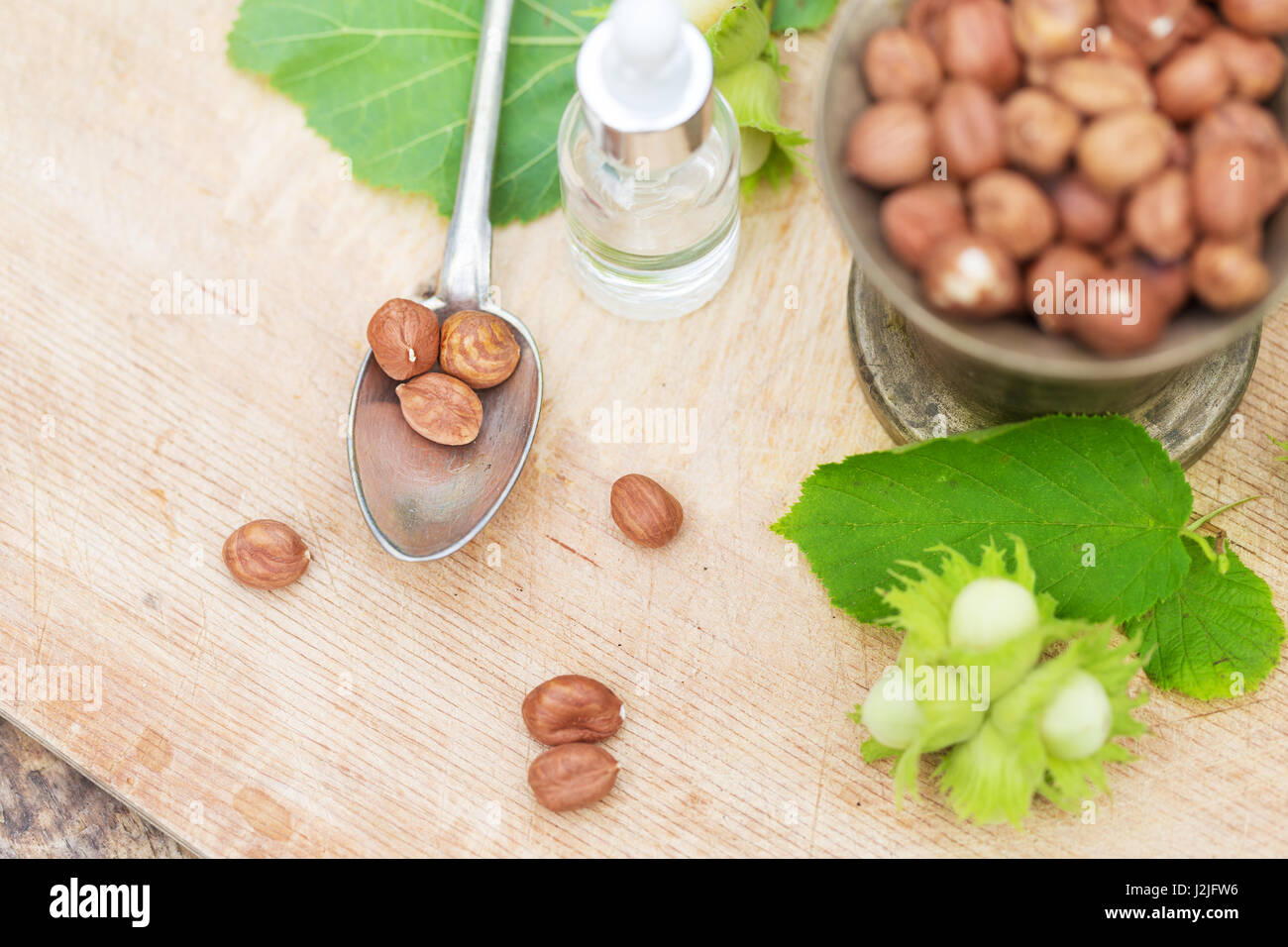 Eine Menge verschiedene Schokolade, viele Variationen, mit Haselnüssen als Ingredientsand Öl in der Natur Stockfoto