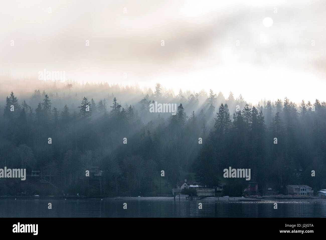 USA, Washington State, Wellen von Licht des morgens Nebel piercing machen Gott Strahlen durch Bäume Stockfoto