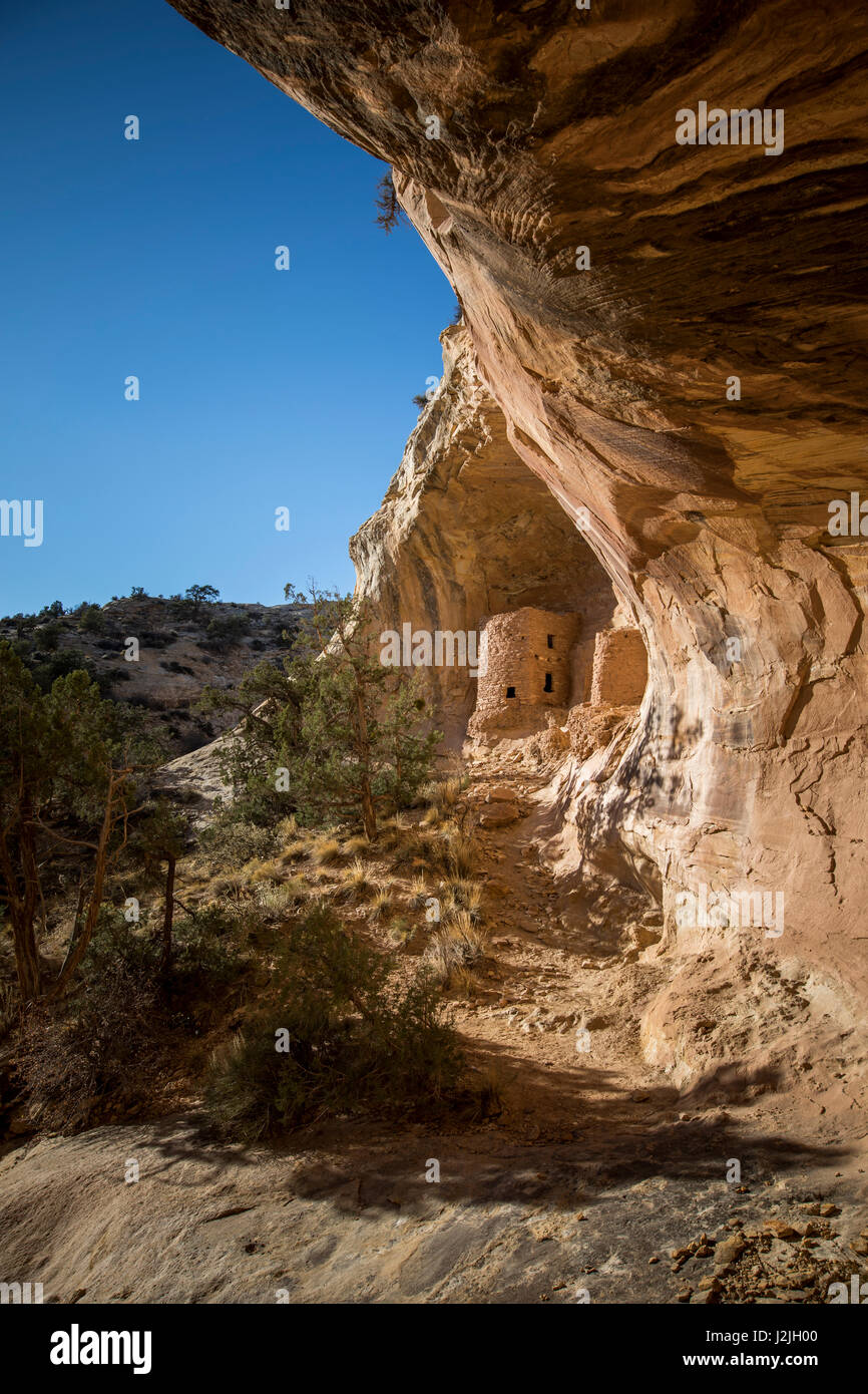 Tower House Ruin, Comb Ridge, Utah. Bären Ohren Nationaldenkmal. Stockfoto