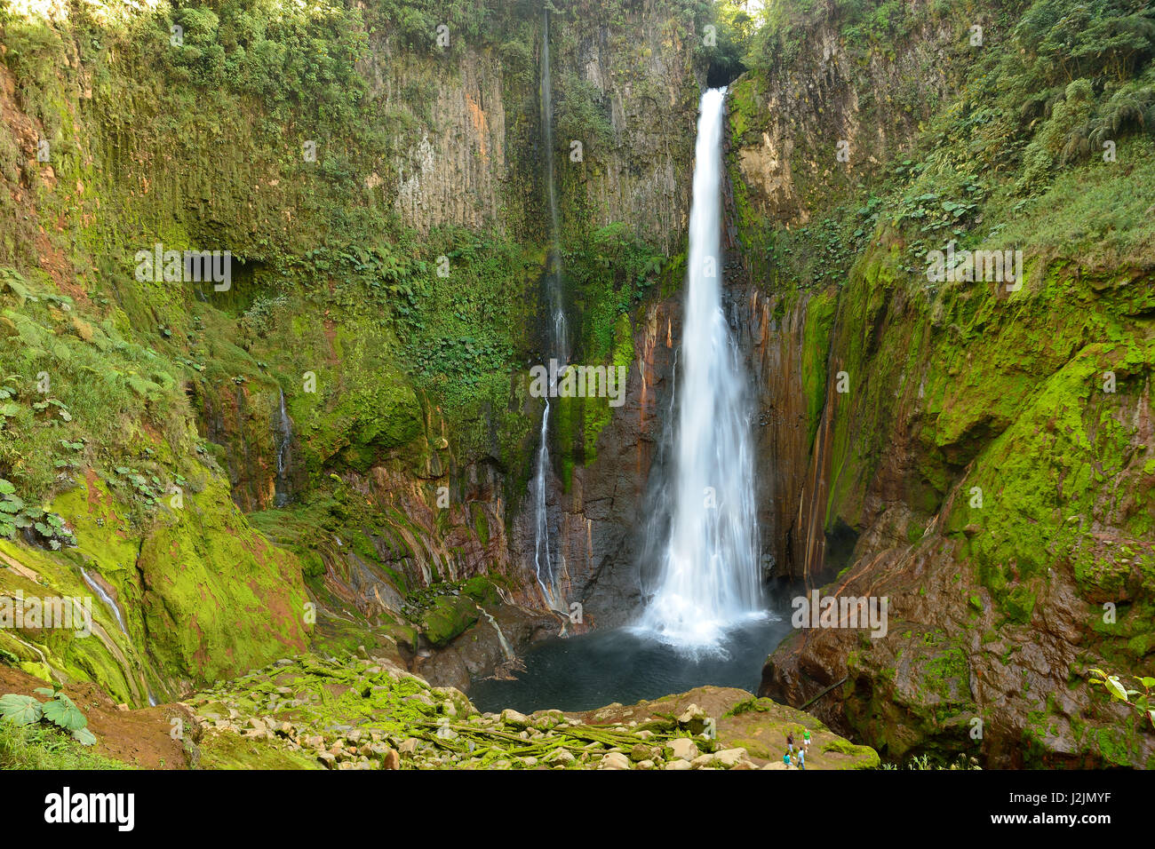 Toro-Wasserfall im Nebelwald von Bajos Del Toro Costa Rica in der Nähe von Vulkan Poàs Stockfoto