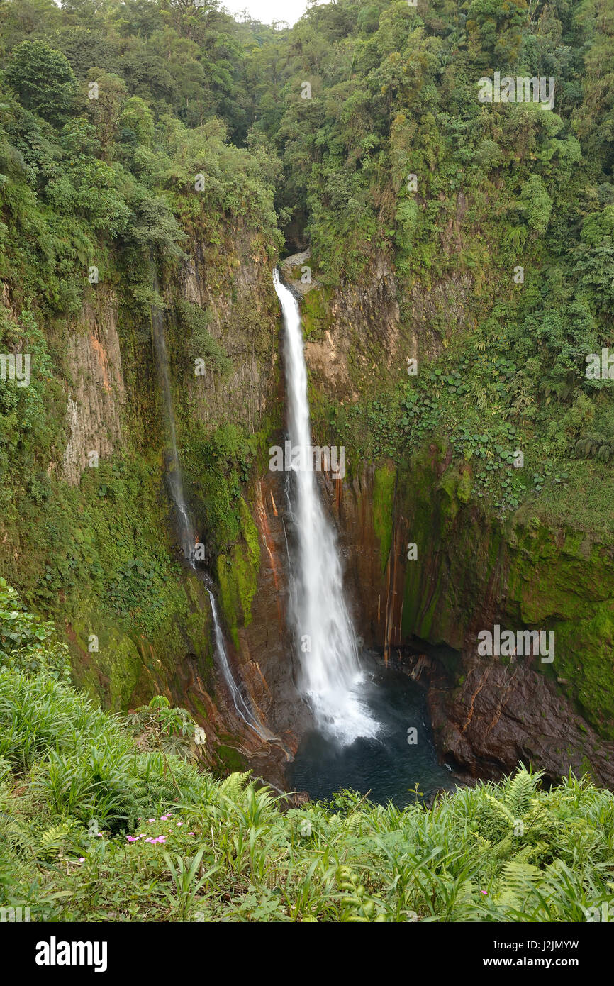 Toro-Wasserfall im Nebelwald von Bajos Del Toro Costa Rica in der Nähe von Vulkan Poàs Stockfoto