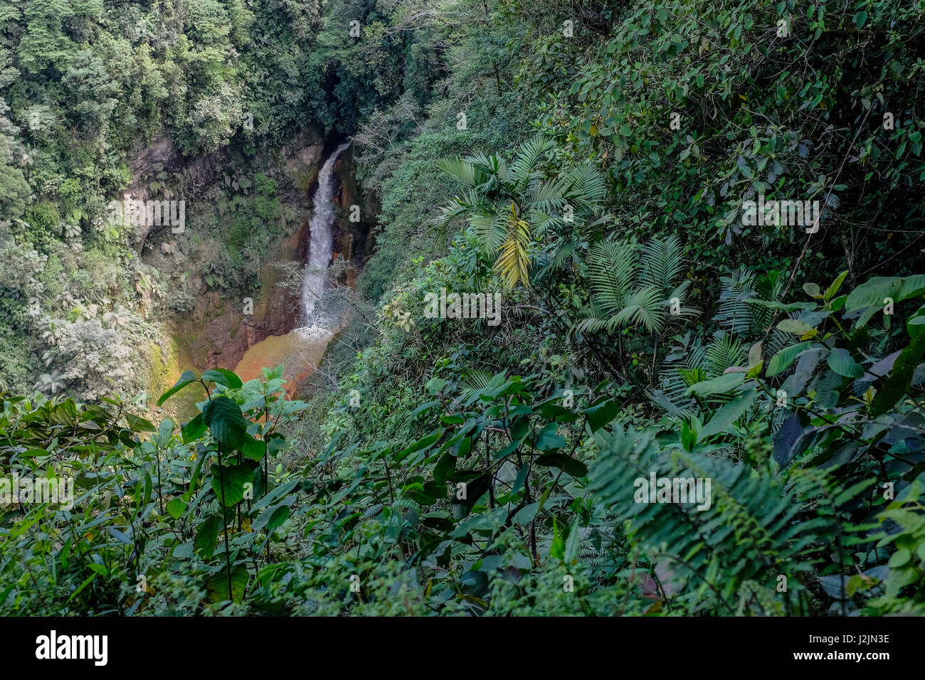 Ein Wasserfall kommt aus den Bergen an der Locos Por el Bosque Reserve in Coronado, Costa Rica. Stockfoto