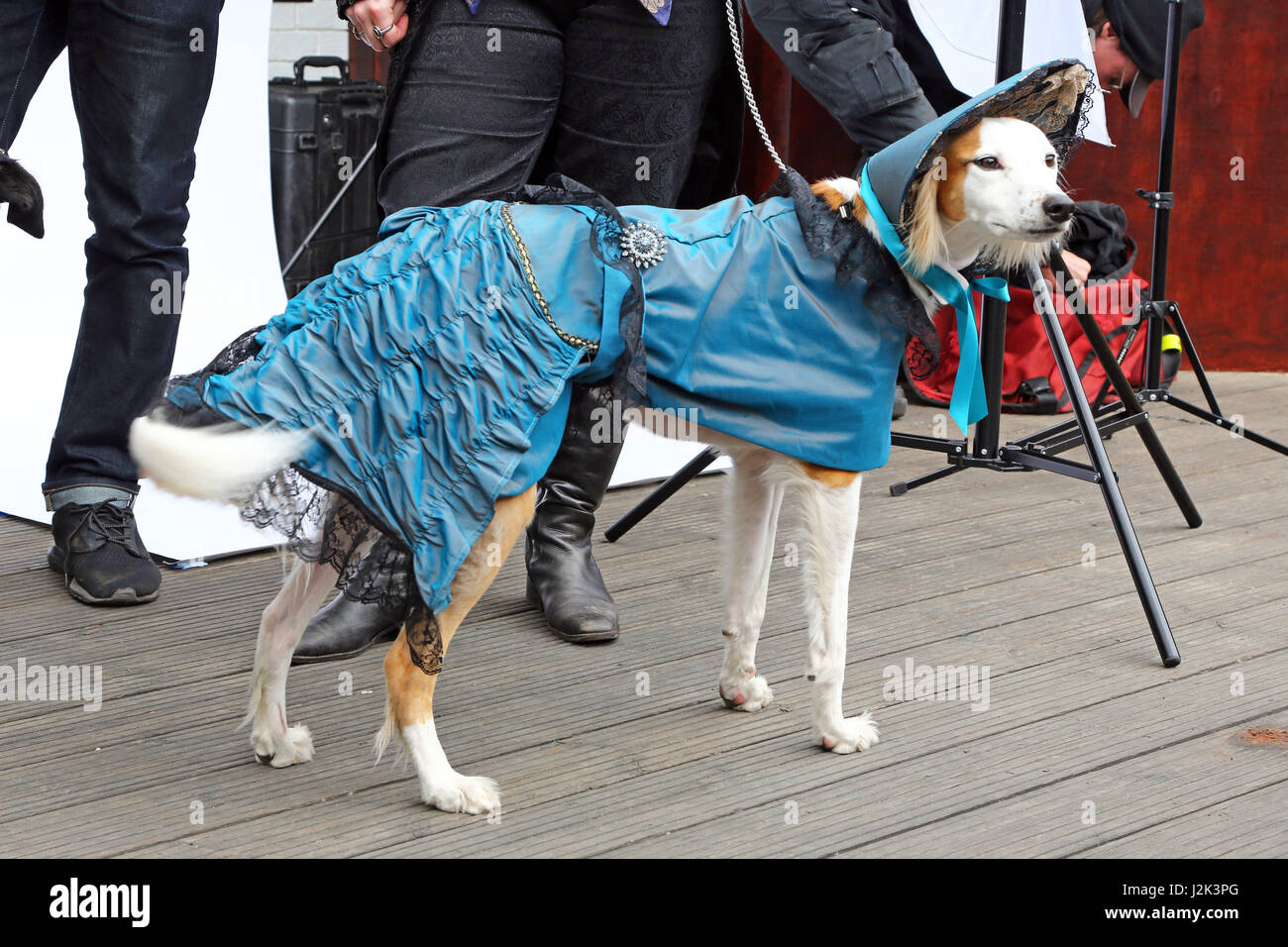 London, UK. 29. April 2017. Arda, zuerst gewann, legen gekleidet, wie Claudia aus Interview mit einem Vampir auf den Sci-Fido Cosplay Hund zeigen an Sci-Fi London, Juju Bar an der Old Truman Brewery London wo Hunde im Film unter dem Motto Kostüm für das Filmfestival und um Geld für Hund Rettung Nächstenliebe alle Hunde Materie verkleidet. Bildnachweis: Paul Brown/Alamy Live-Nachrichten Stockfoto