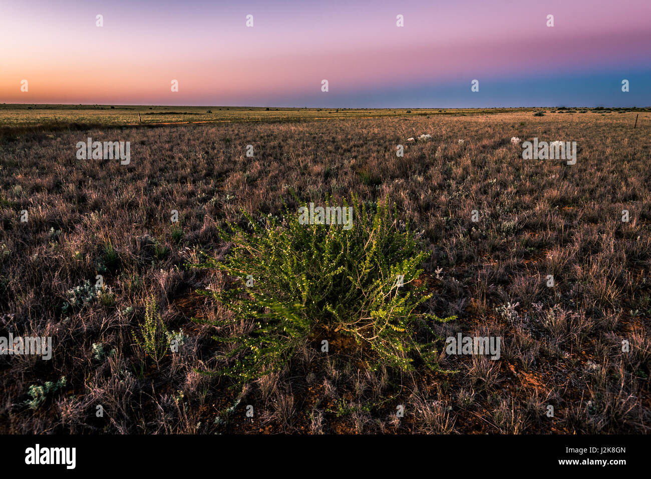 Sonnenuntergang am Nullarbor Plain in Westaustralien Stockfoto