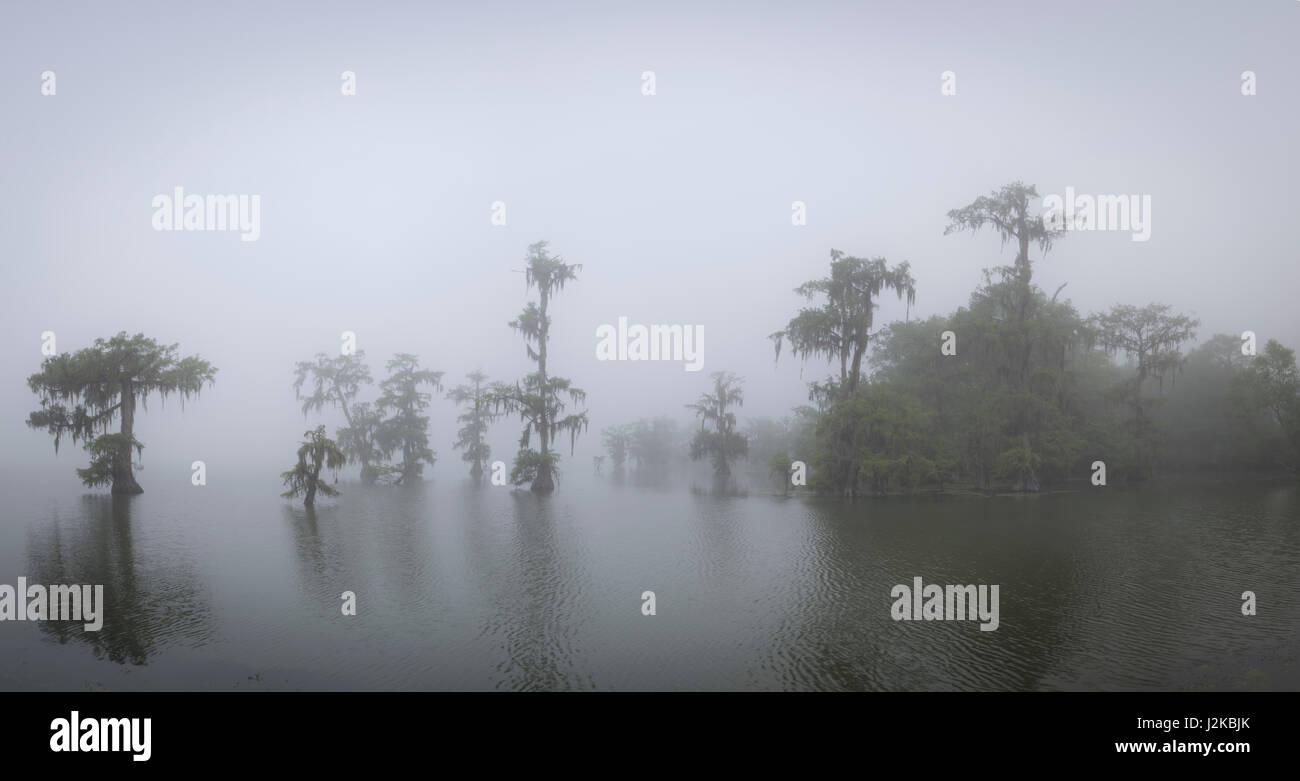 Martin früh Morgen Seenlandschaft im Nebel Stockfoto