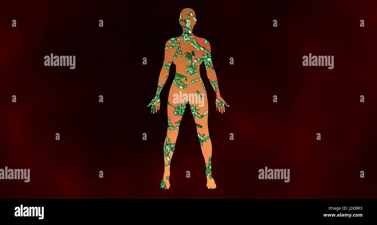 Mikrobiom Bakterien, Viren, Mikroben im weiblichen Körper. 3D-Rendering Stockfoto