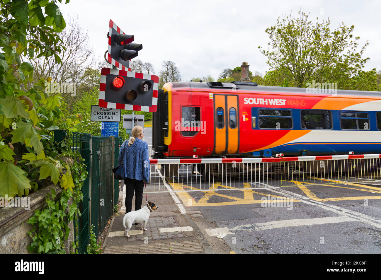 Frau und Hund warten am Bahnübergang Barriere für South West Trains trainieren in Sherborne, Dorset, England UK im April übergeben Stockfoto