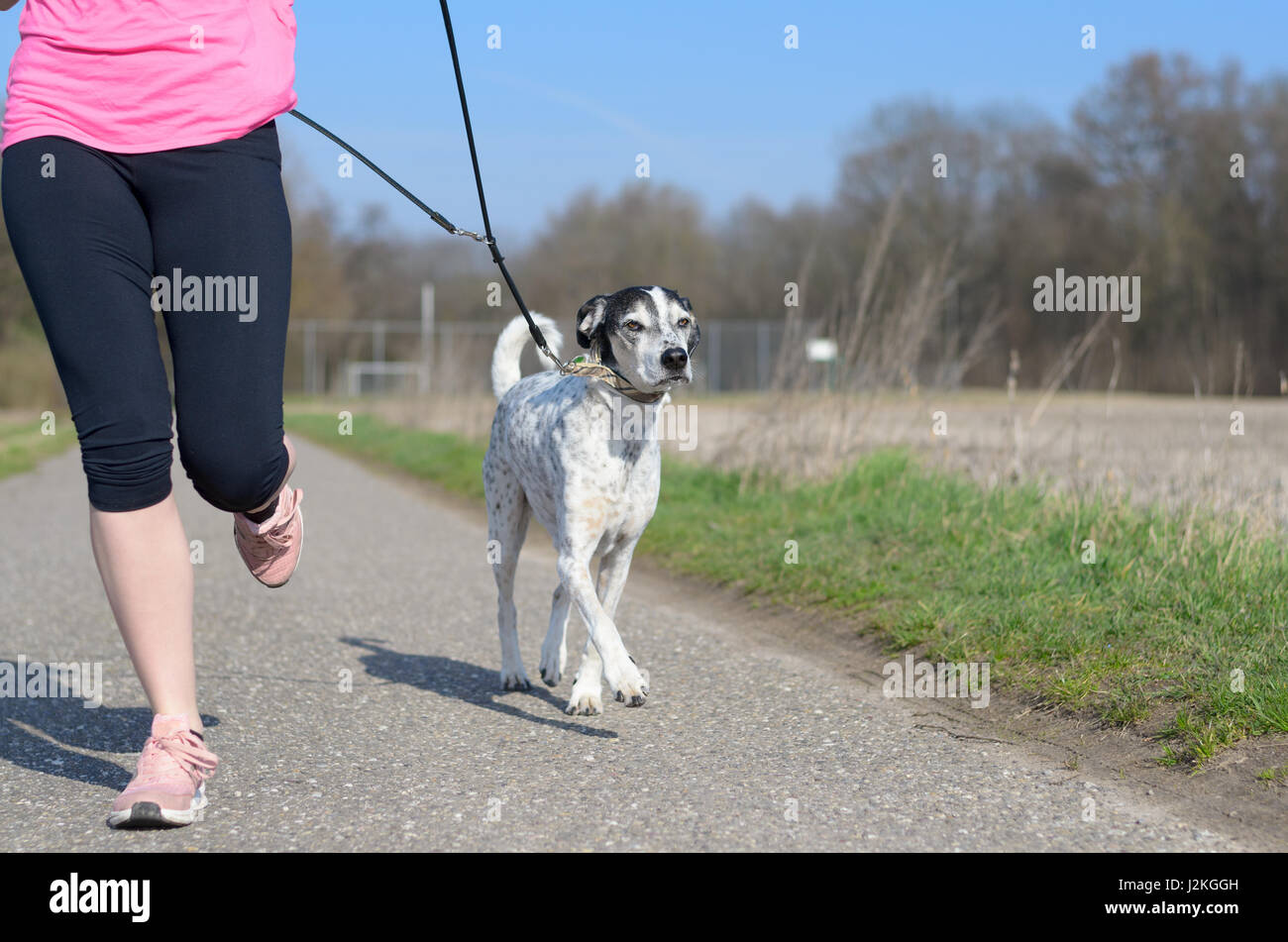 Passen sportliche junge Frau mit ihrem Hund auf einem Lead Joggen entlang einer ländlichen Gasse in der Sonne ausgeführt, Nahaufnahme der unteren Körperhälfte und das Tier Stockfoto