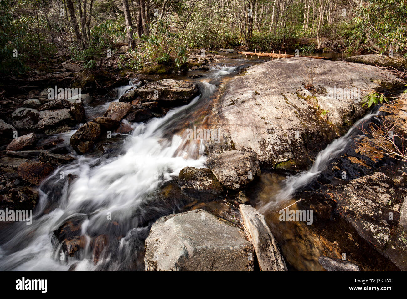 Wasserfall Kaskade off Highway 215 - Pisgah National Forest, in der Nähe von Brevard, North Carolina, USA Stockfoto