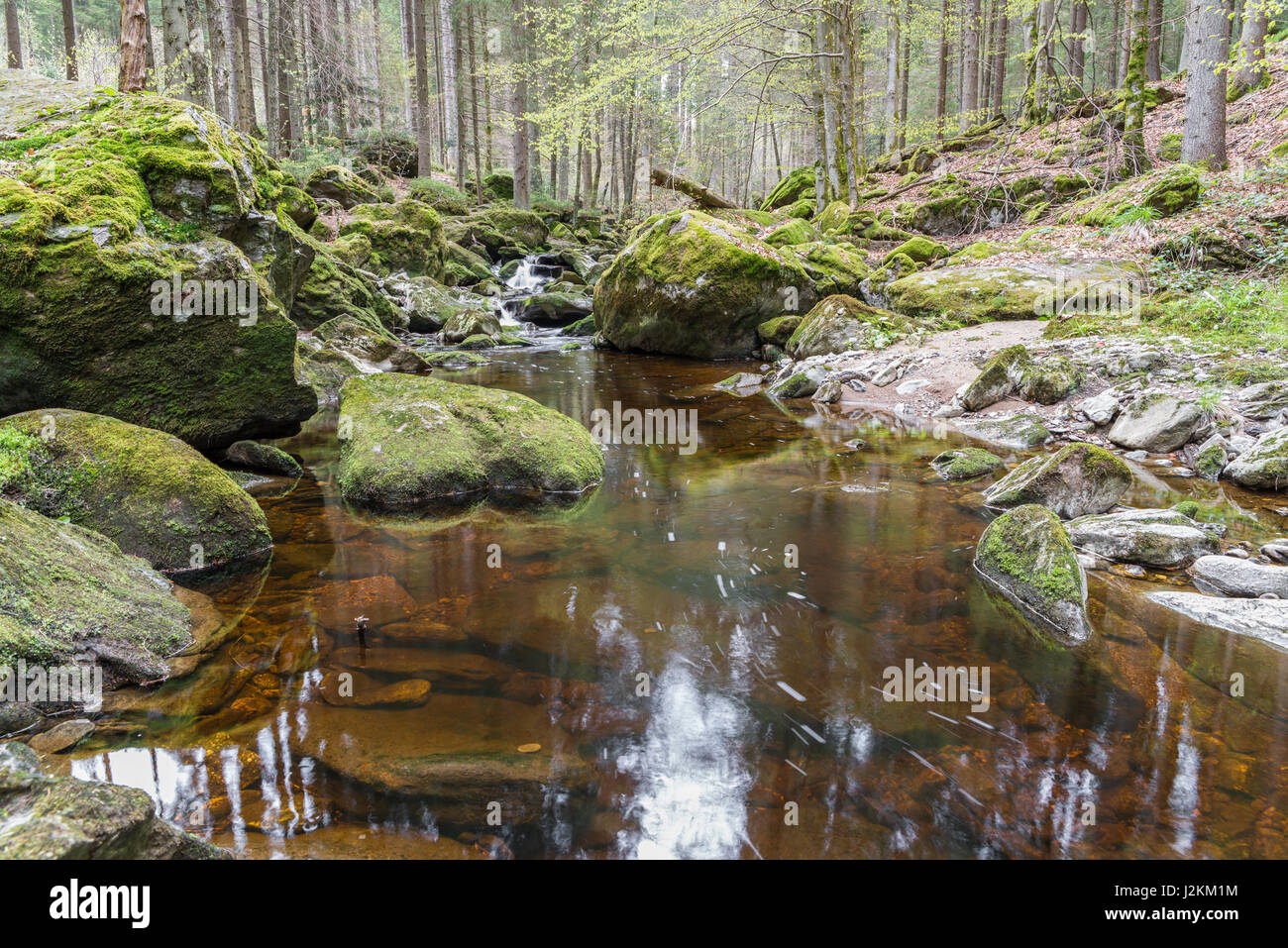 Gerinne in Spiegelau im Bayerischen Wald Stockfoto