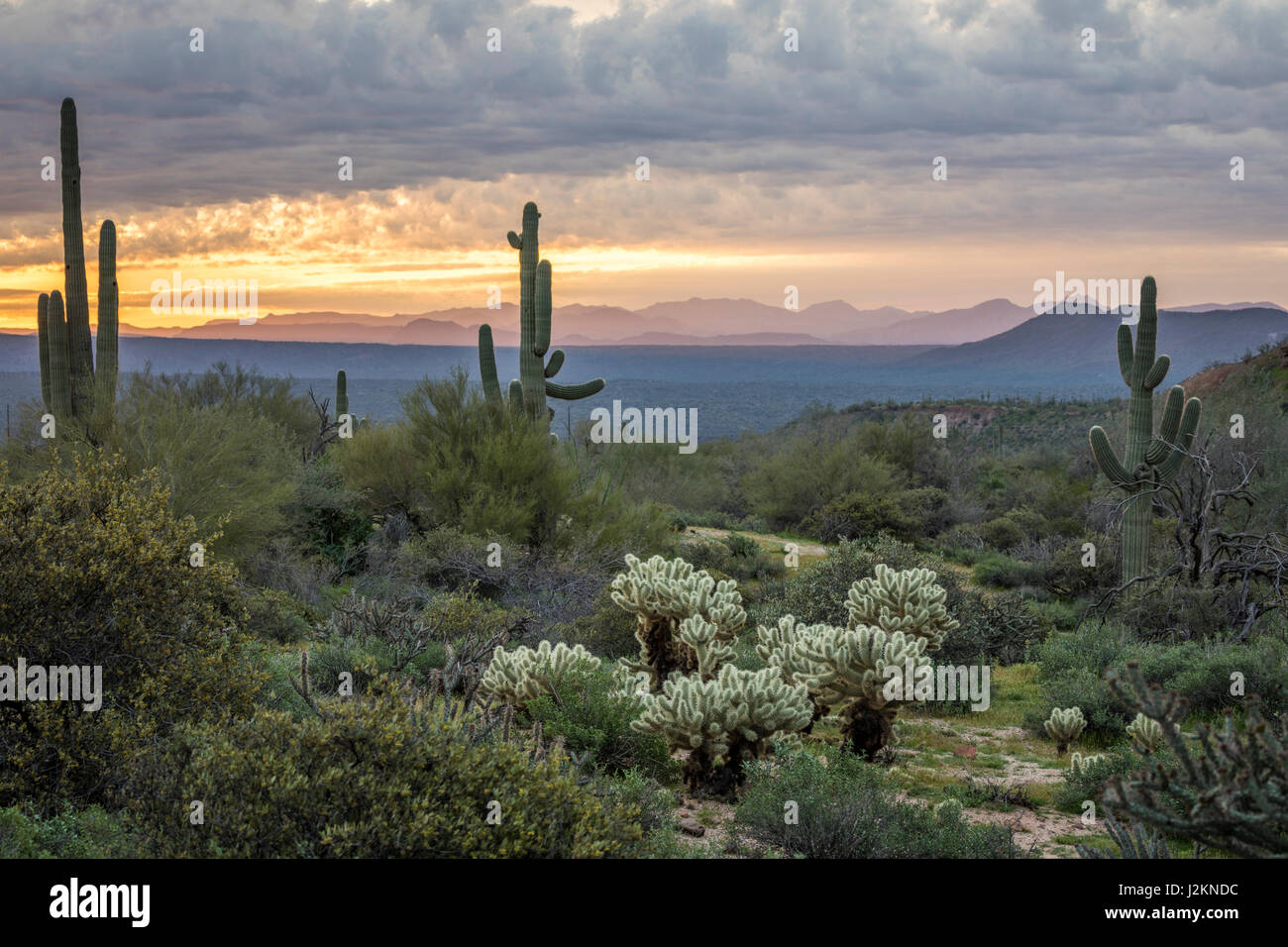 McDowell Bergpark, Phoenix, Arizona. Stockfoto