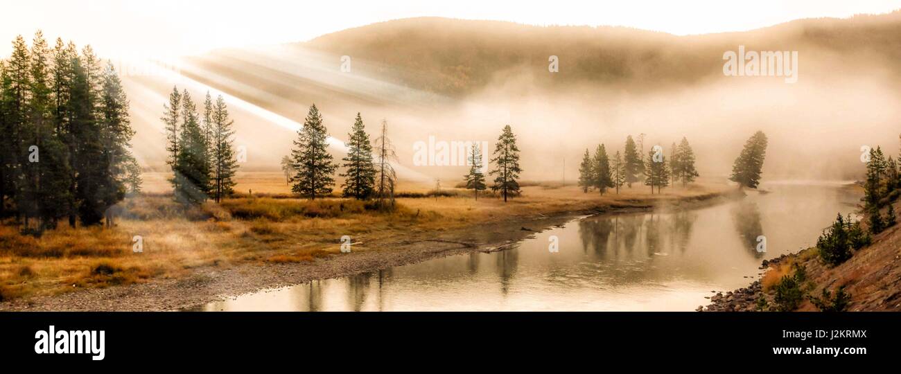 Frühen Morgennebel über einen Fluss im Yellowstone National Park. Stockfoto