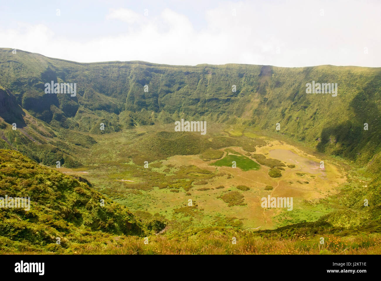 Blick ins Vulkankrater, Calderia Faial, Insel Faial, Azoren Stockfoto