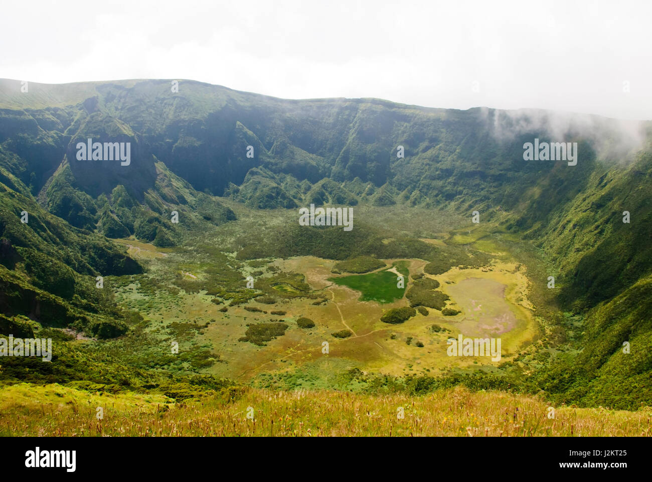 Blick ins Vulkankrater, Calderia Faial, Insel Faial, Azoren Stockfoto