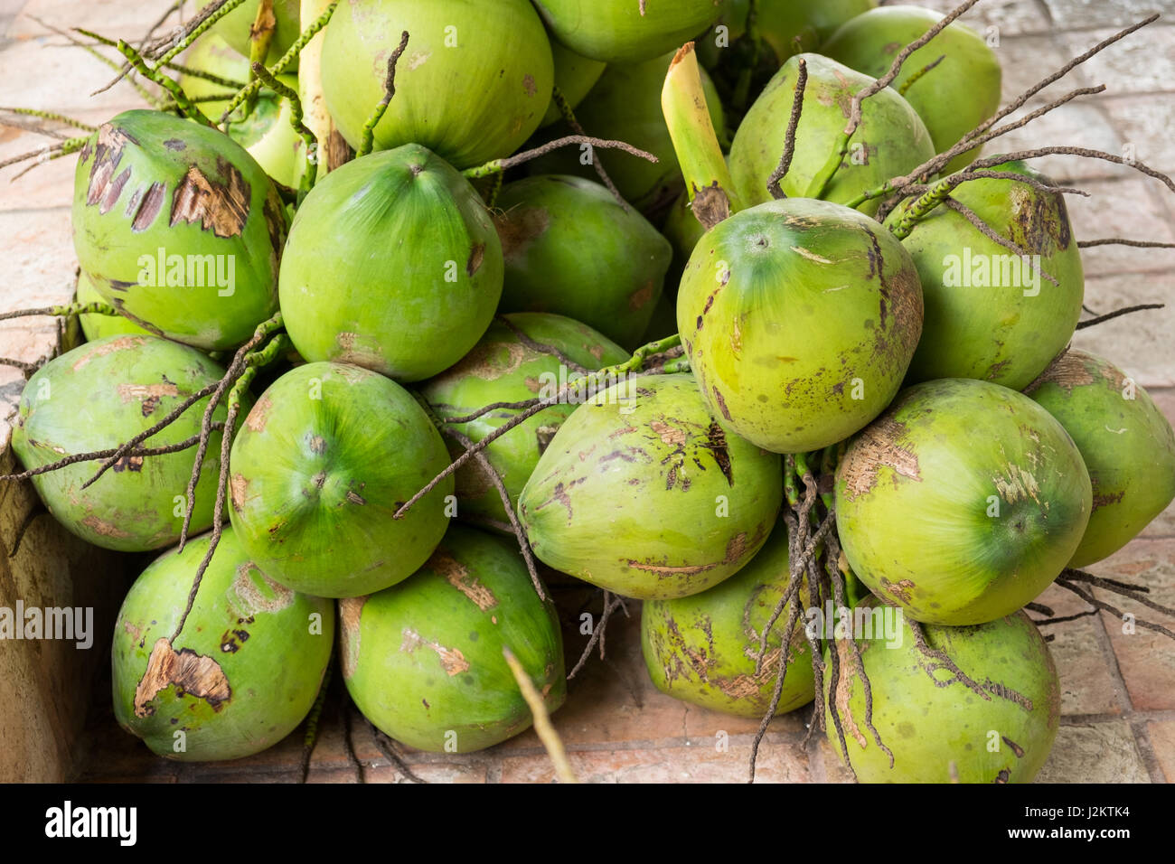 Viele Kokosnuss Stockfoto