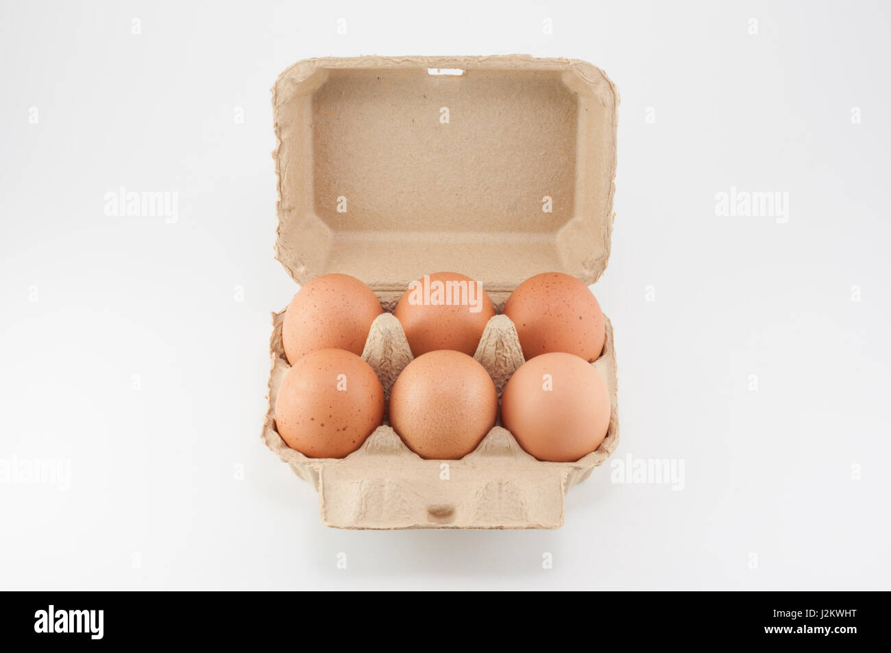 Eierkarton - Eiern in einen Eierkarton auf weißem Hintergrund Stockfoto