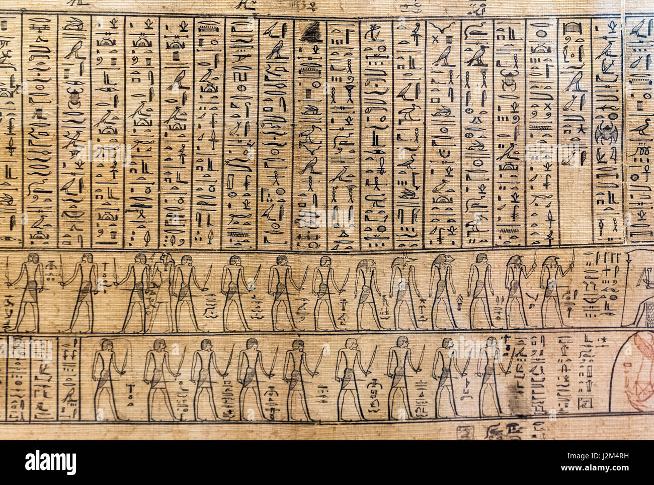 Hieroglyphen. Ägyptische Hieroglyphen auf einem Teil des Jumilhac Papyrus, datiert aus der ptolemäischen oder frühen römischen Spätzeit Ägyptens. Stockfoto