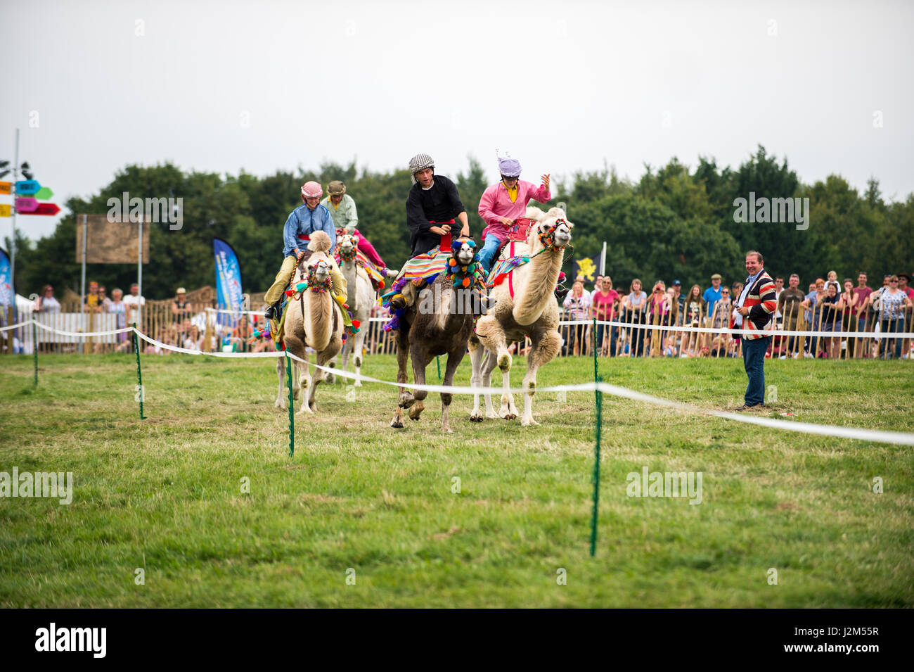 Laverstoke Park Farm, Overton, Basingstoke, Hampshire, Vereinigtes Königreich. 27. August 2016. Kamelrennen auf Radio 2 Frühstück zeigen DJ, Chris Evans Auto Fest Süd 2016 - Auto, Essen, Familie und Musikfestival für BBC Kinder in Not. © Will Bailey / Alamy Stockfoto