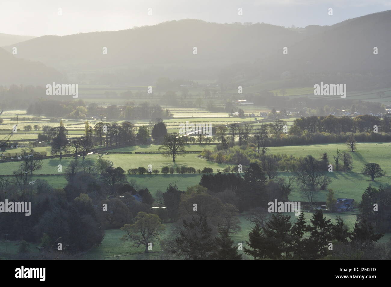 Blick nach Osten von OS Gitter Ref 219597 in Richtung Hanter Hill und Hergest Ridge im Welsh Marches, Powys, Wales Stockfoto