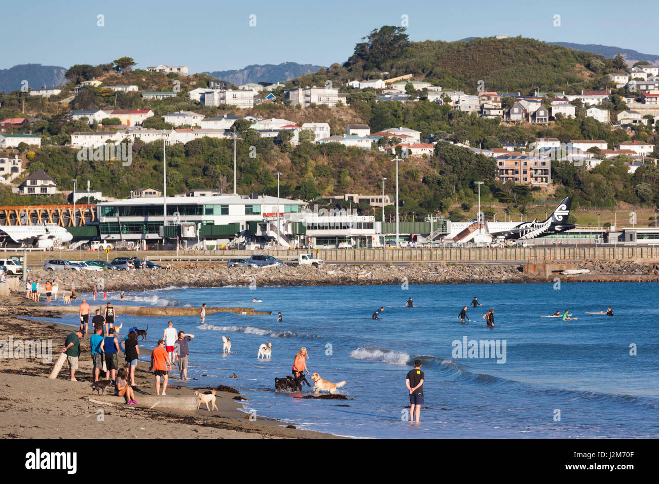 Neuseeland, Nordinsel, Wellington, Lyall Strand Stockfoto