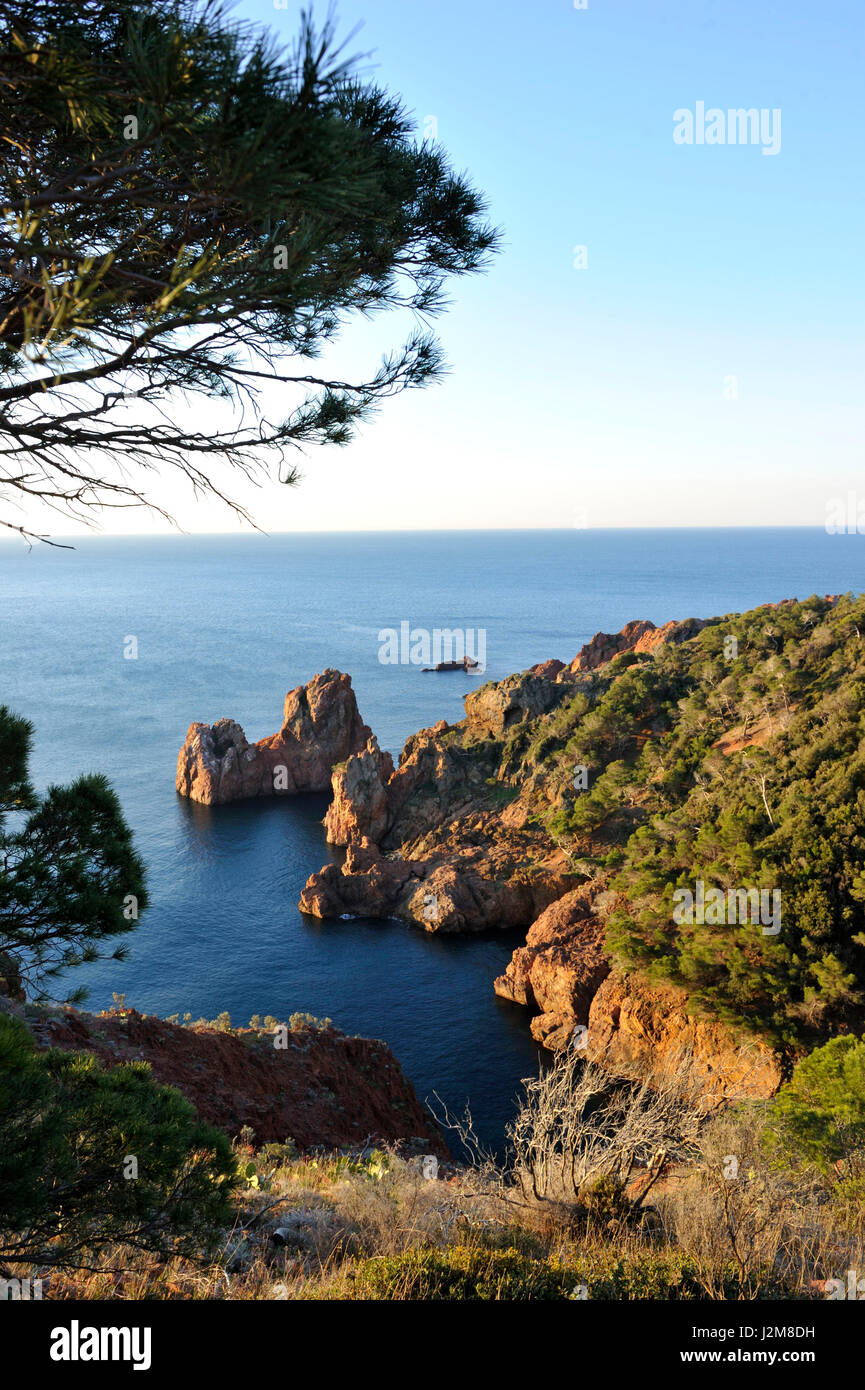 Frankreich, Var, Esterel Corniche, St Raphael, Cap Dramont Stockfoto