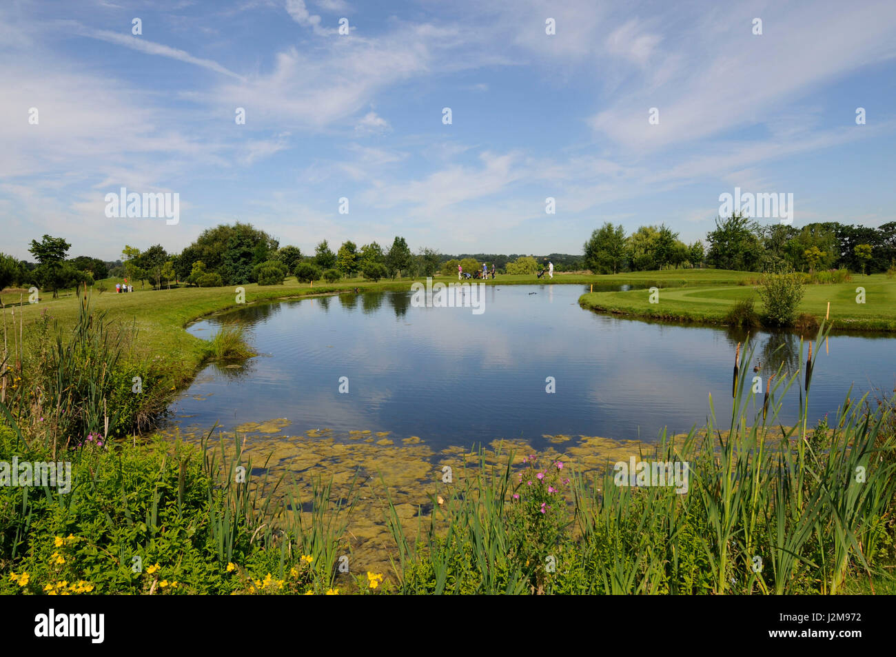 Blick vom 18. Grün über den See zurück zum Fairway, The Shire London Golf Club, Barnet, Hertfordshire, England Stockfoto