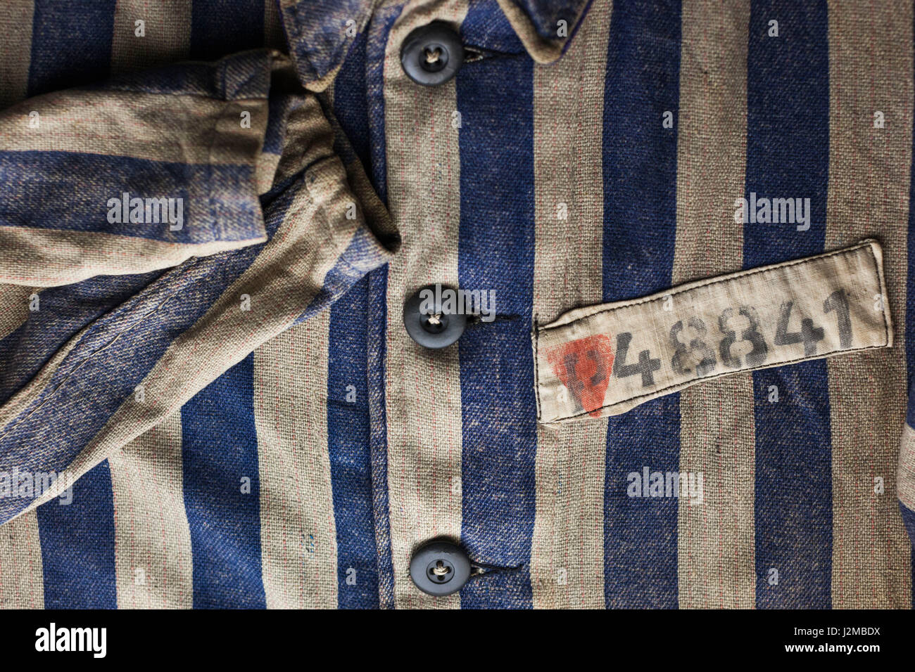 Deutschland, Nordrhein-Westfalen, Bonn, Museumsmeile, Museum der Bundesrepublik Deutschland, WW2-Ära KZ einheitliche Wurm durch Homosexuelle mit rosa Dreieck durch das NS-Regime inhaftiert Stockfoto