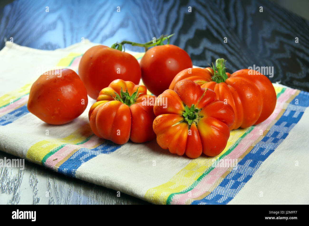 Bio Florentiner rote Tomaten - GVO-Lebensmittel gefangen aus einem kultivierten Feld in der Toskana, Italien - Studio Foto-Shooting auf einem bunten Küchentuch Stockfoto