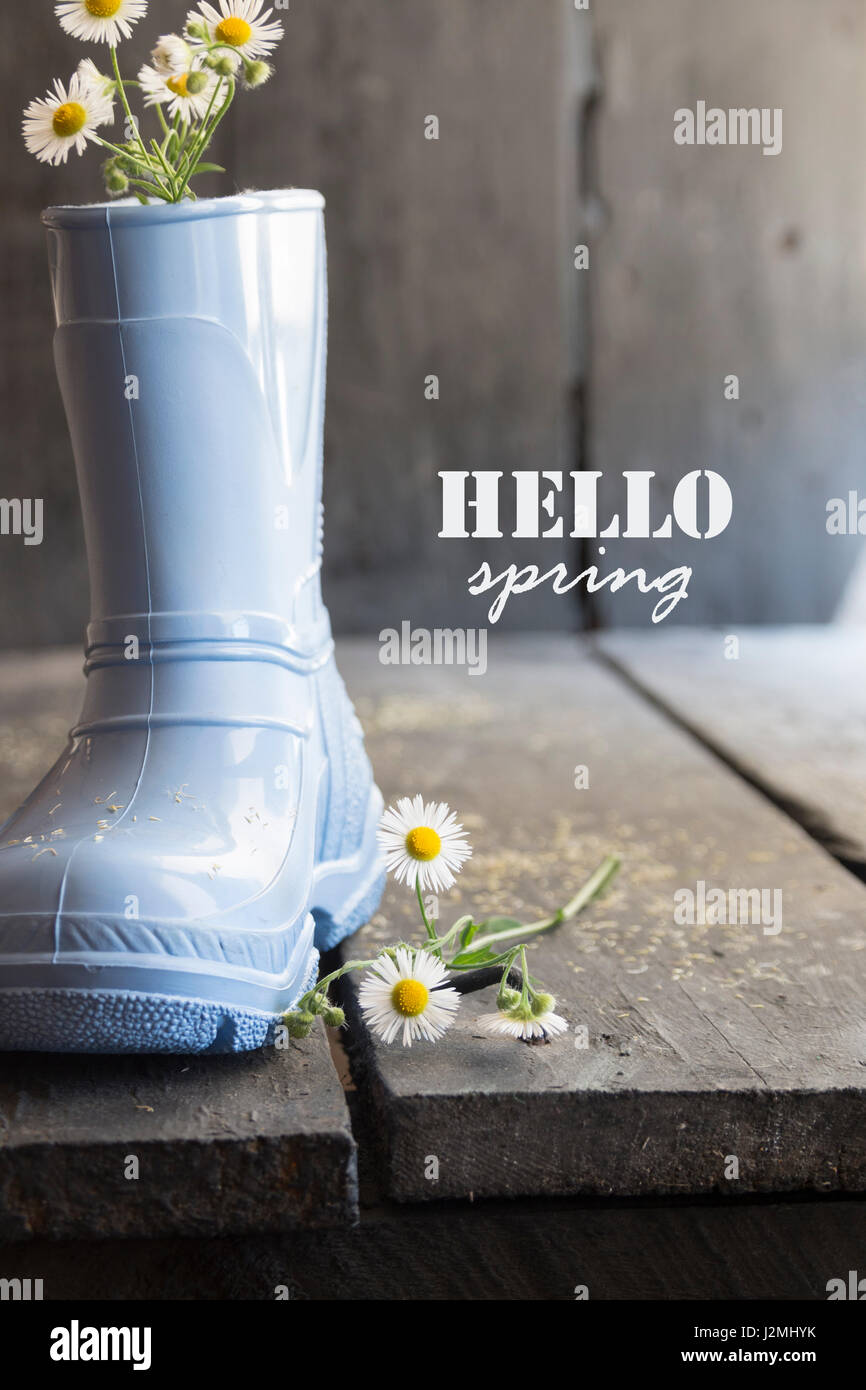 Daisy und Stiefel auf einen Vintage Hintergrund und Text-Hallo-Herbst Stockfoto