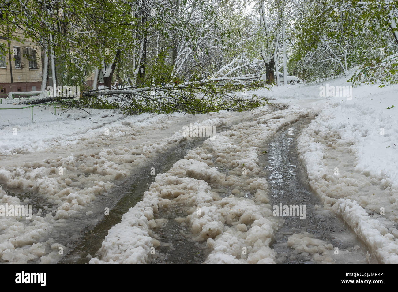 Frühlingslandschaft nach unerwarteten April Schneesturm in der Dnepr Stadt, Ukraine Stockfoto