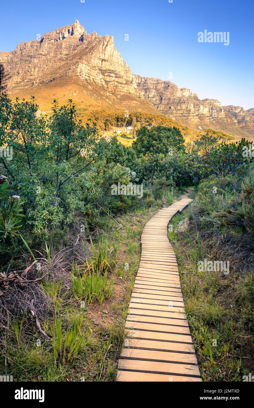 Wanderweg vom Lions Head in Cape Town, South Africa, mit Blick auf Tafelberg Stockfoto