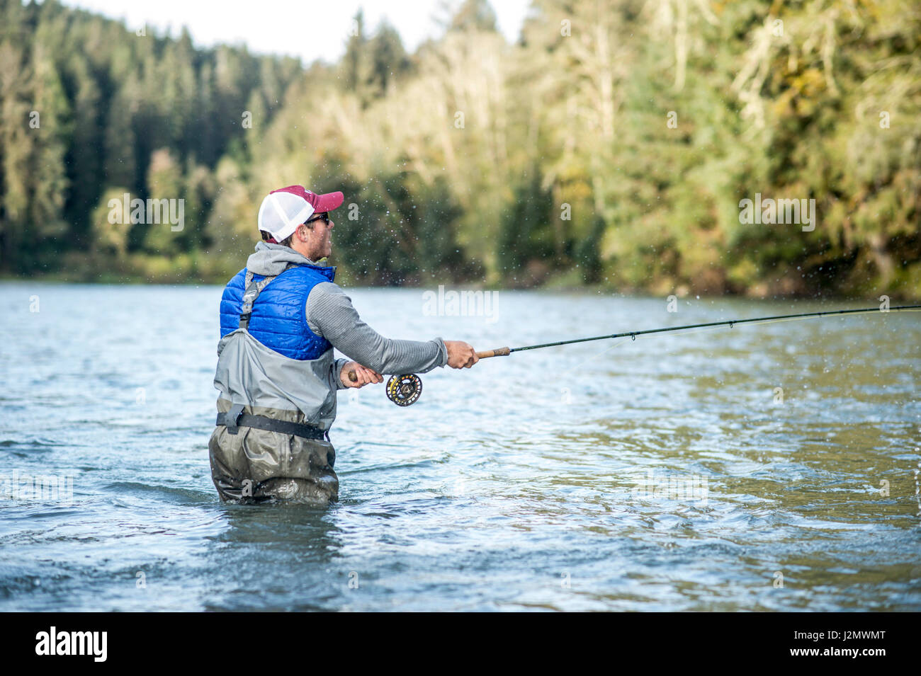 Angler Fliegenfischen auf Steelhead am Queets River, Olympic Halbinsel, Washington Stockfoto