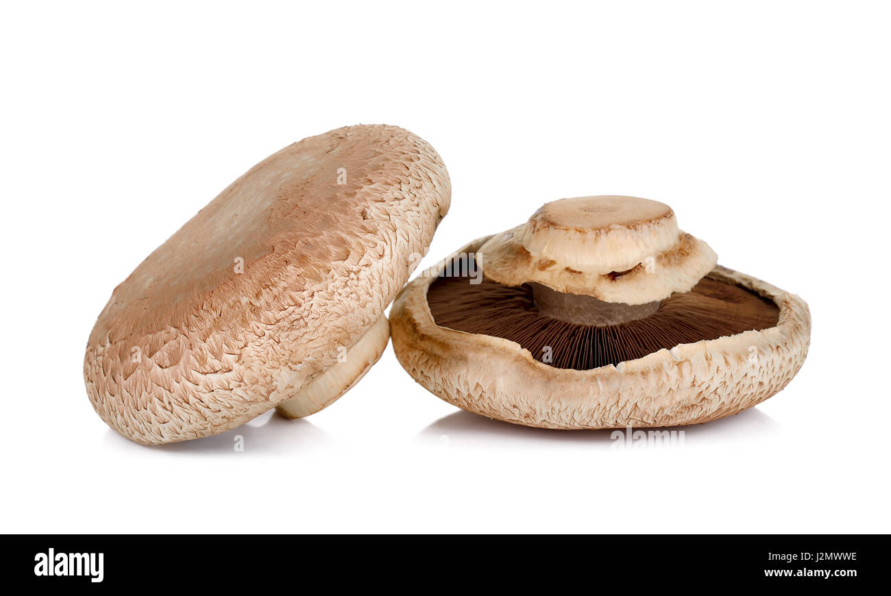 Portobello-Pilze auf dem weißen Hintergrund isoliert. Stockfoto