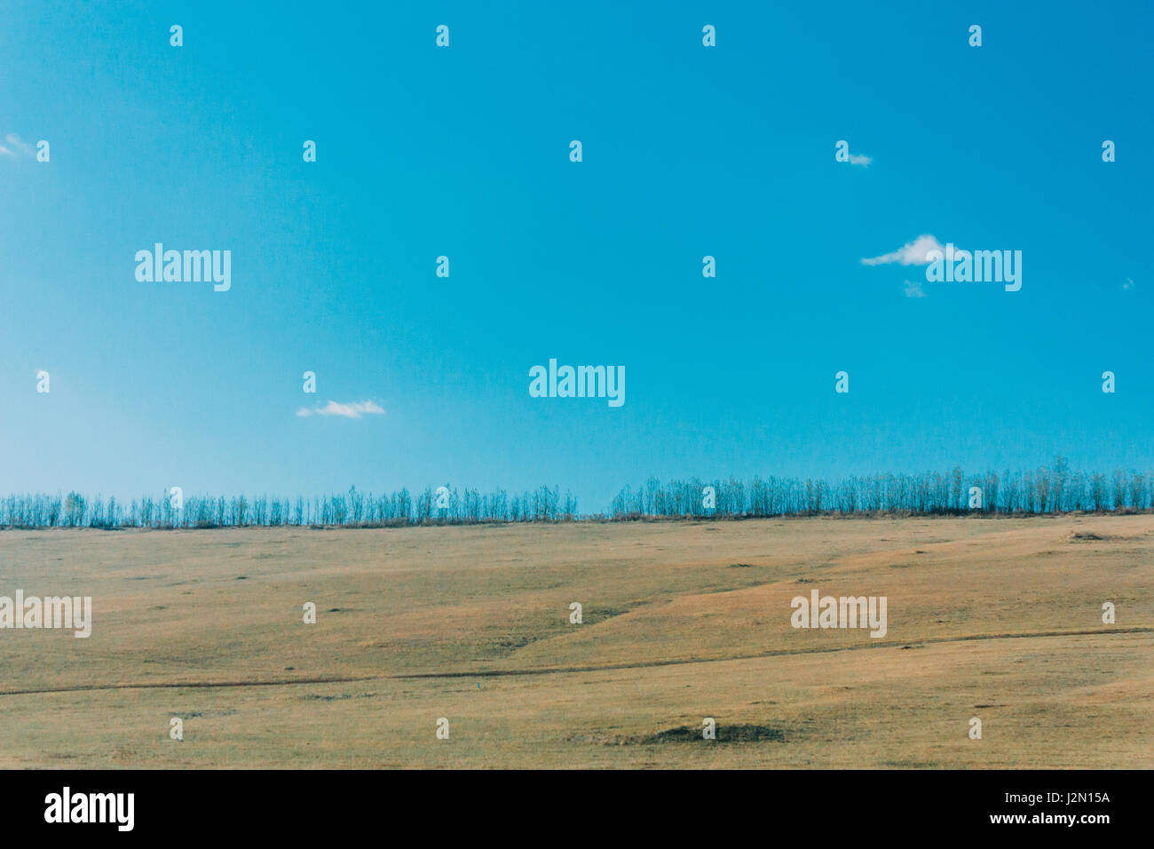 blauer Himmel, Wolke, Grünland, Wald und Baum in der Inneren Mongolei Stockfoto