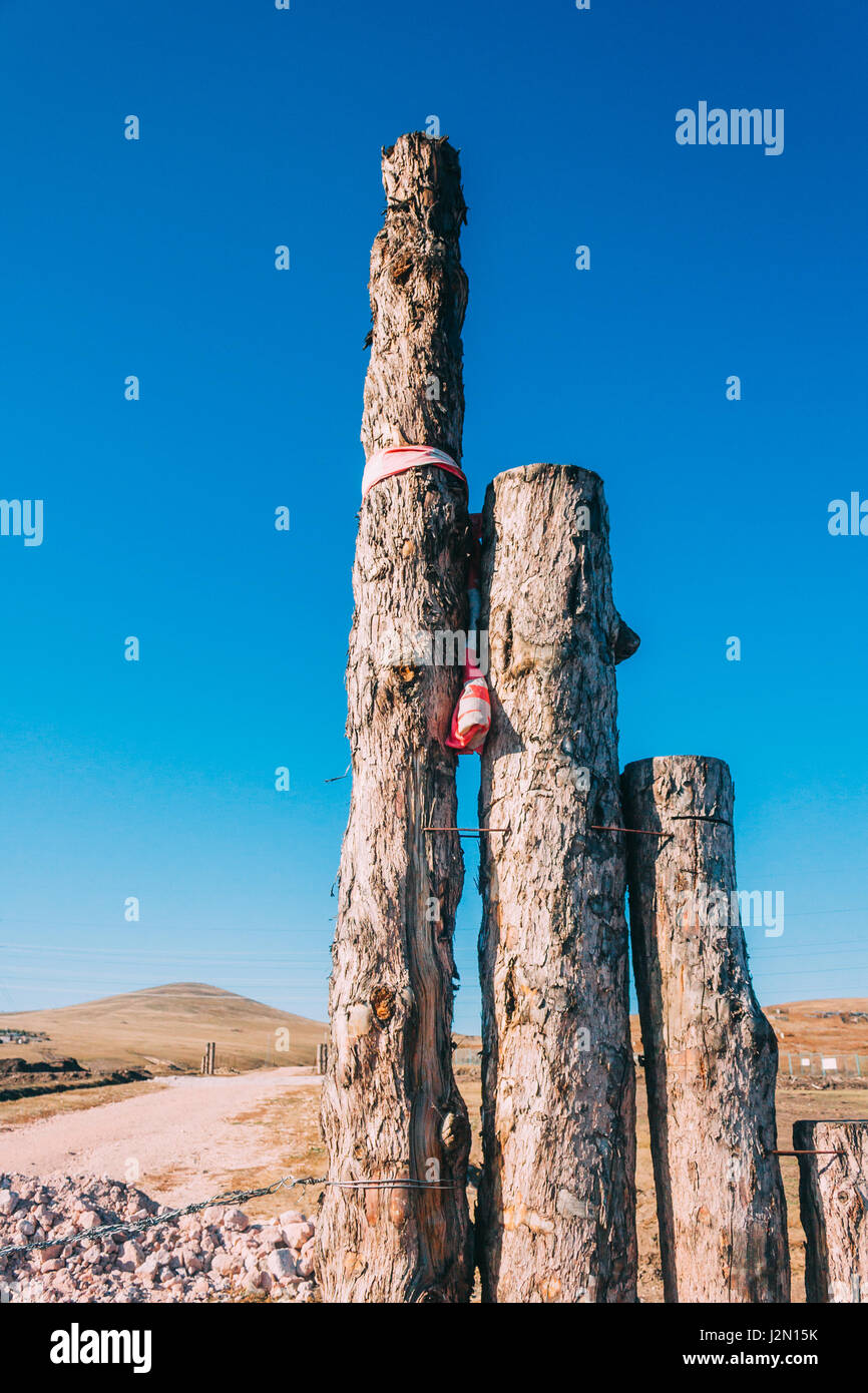 drei Wälder stehen Landschaft in der Mongolei, mongolische Totem im Grünland mit blauem Himmel, vertikale Stockfoto