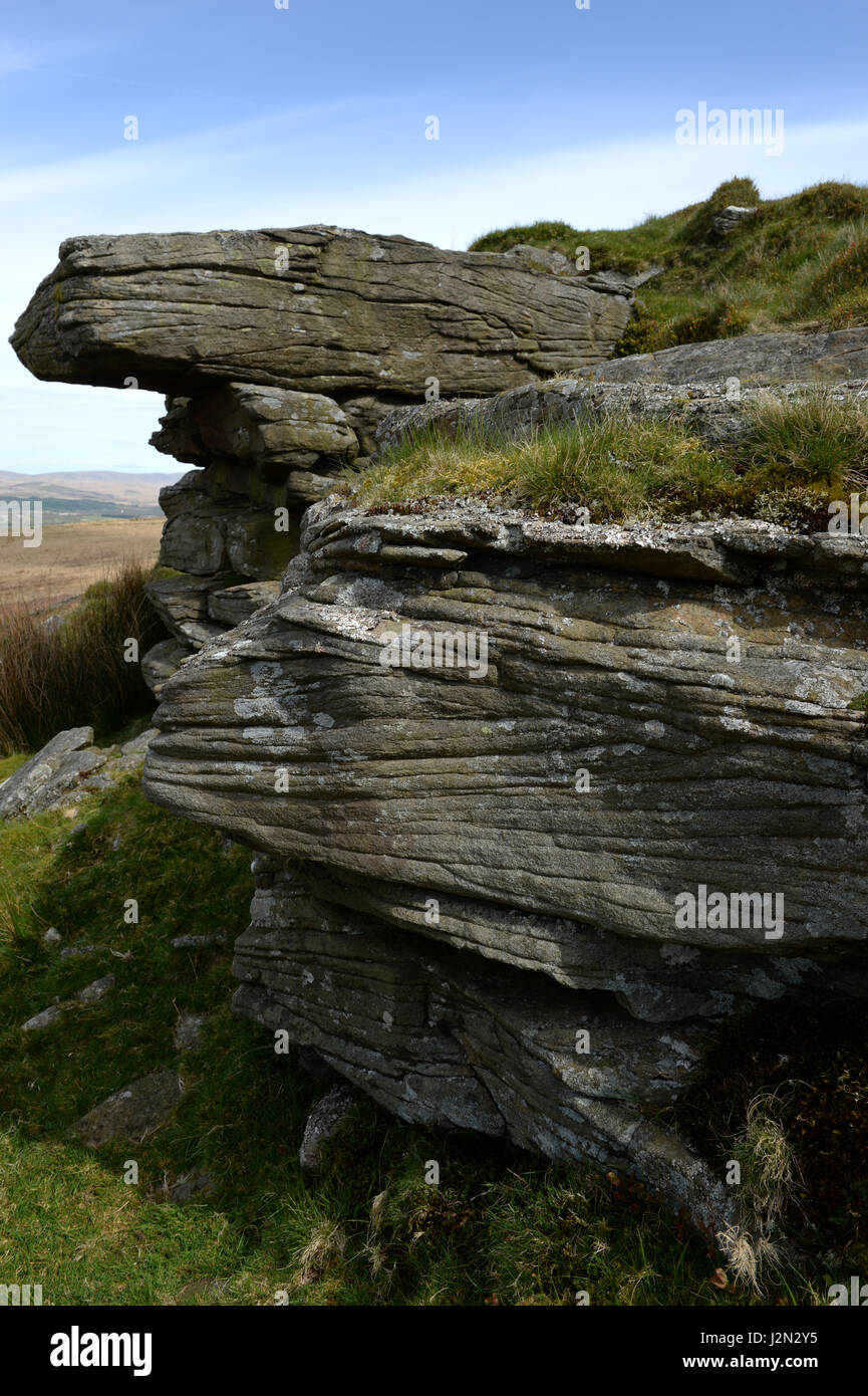 Kreuz gebettet Schichten Flugzeuge im Ausläufer des Rock, groben Sandstein / Mühlstein Korn auf den steilen Seiten Swansea Tal Stockfoto