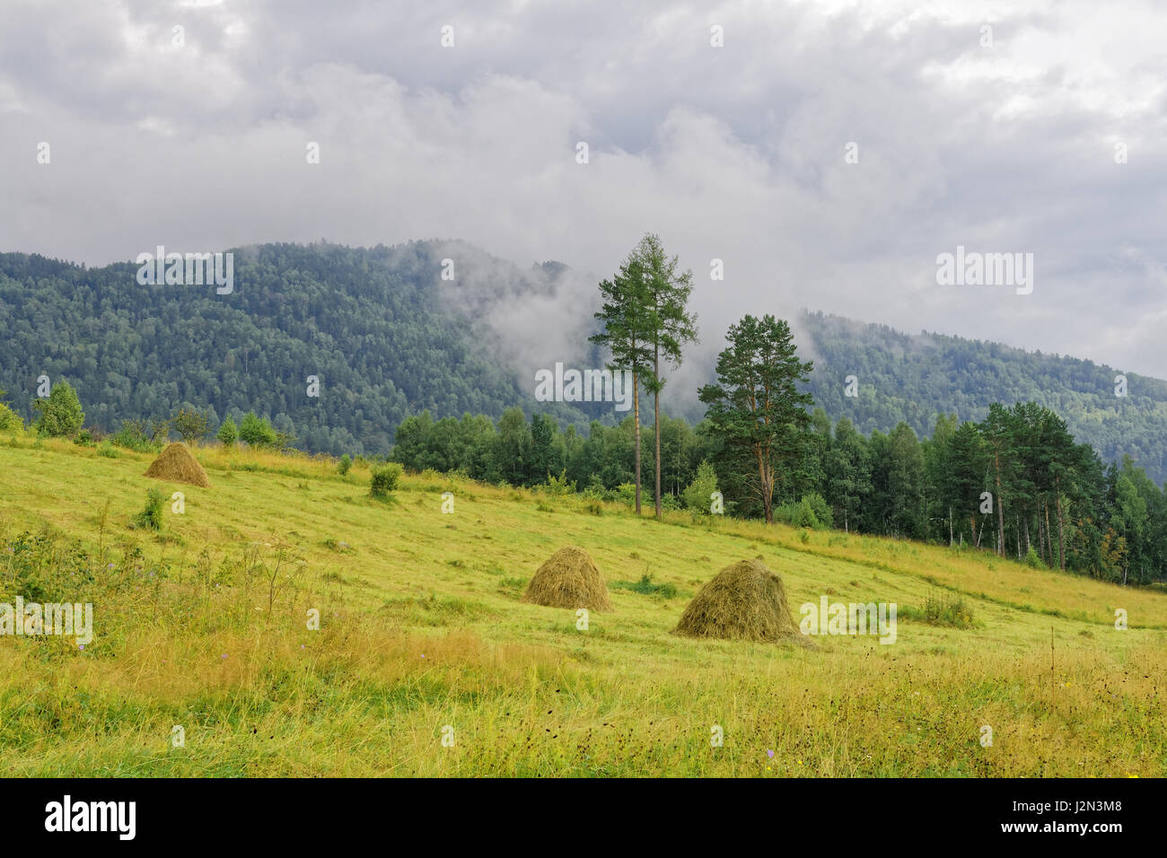 Sibirien, Altai-Gebirge. Die letzten Tage des Sommers Stockfoto