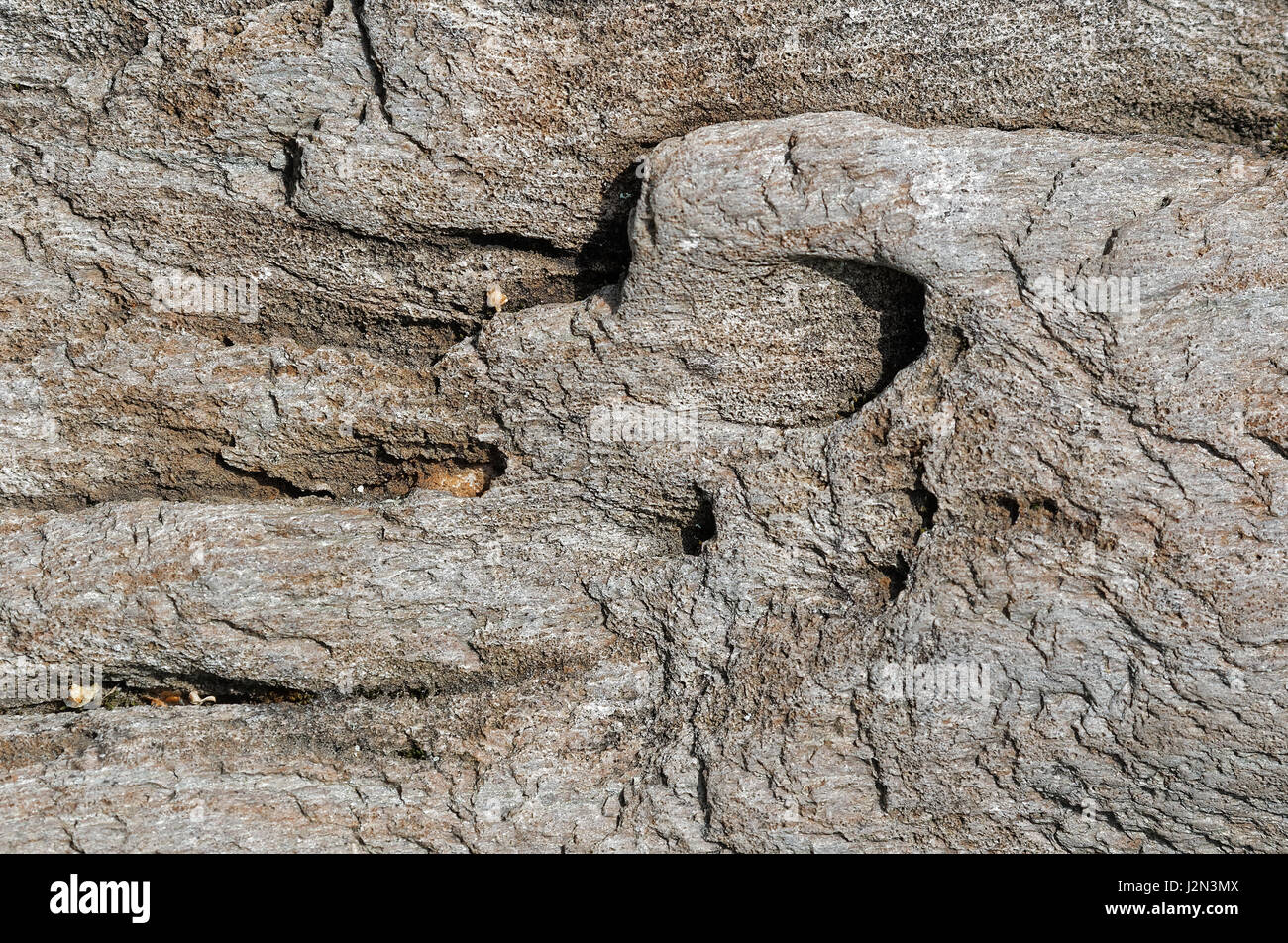 Struktur des natürlichen Steins von der Küste des Telezkoje-See Stockfoto
