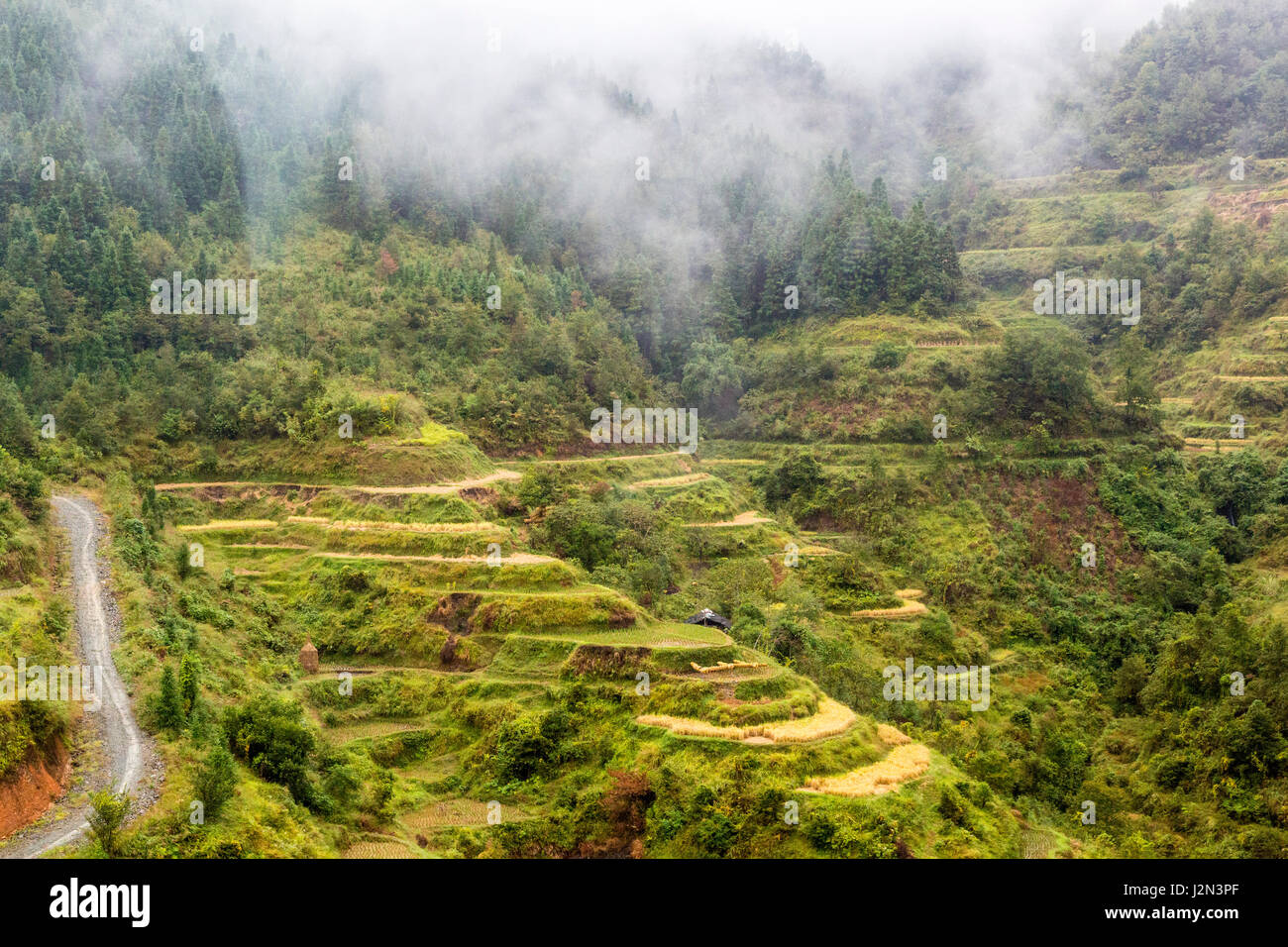 Guizhou, China.  Terrassenförmig angelegt, Landwirtschaft zwischen Zhaoxing und Kaili, nach der Reisernte. Stockfoto
