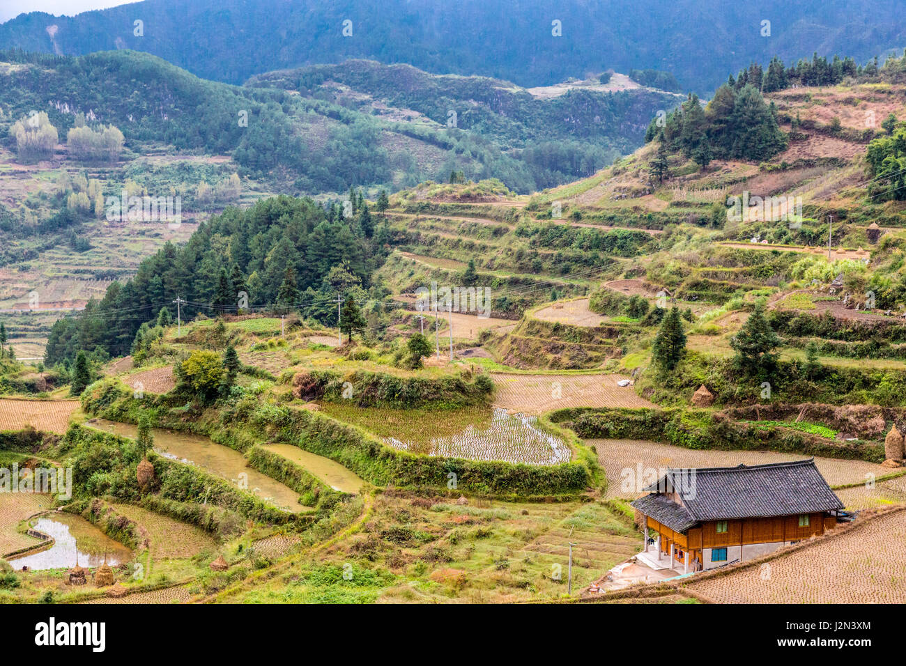 Guizhou, China.  Terrassenförmig angelegt, Landwirtschaft zwischen zwischen Zhaoxing und Kaili, nach der Reisernte. Stockfoto