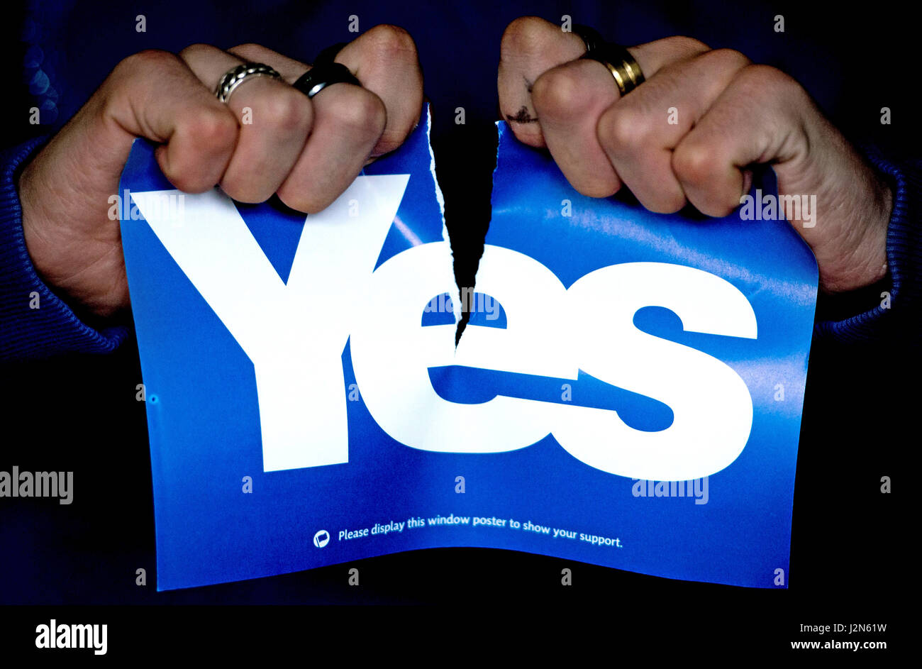 Fotograf Ian Georgeson, 07921-567360, die schottische Referendum, Nein danke Bild gewinnen Stockfoto