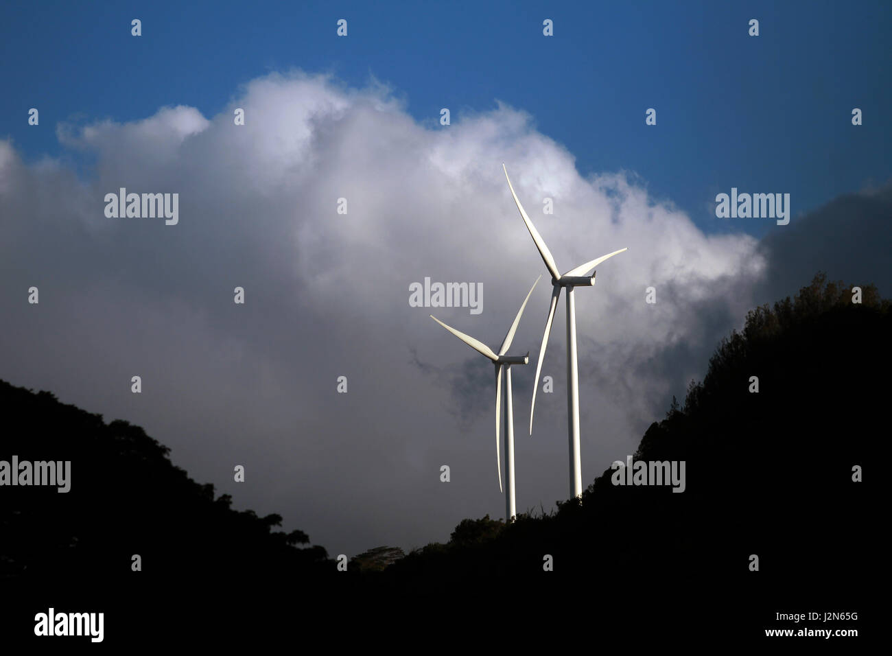 Windkraftanlagen an der Nordküste von Oahu, Hawaii Stockfoto