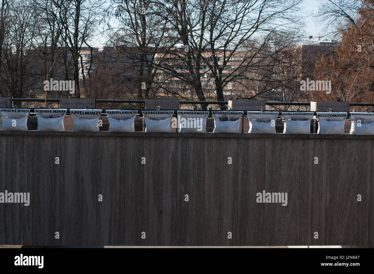 Urban gardening auf dem Dach des Haus der Kulturen der Welt, Berlin, Deutschland. Temporärer Stadtgarten / Kunstinstallation, HdKdW Berlin. Stockfoto