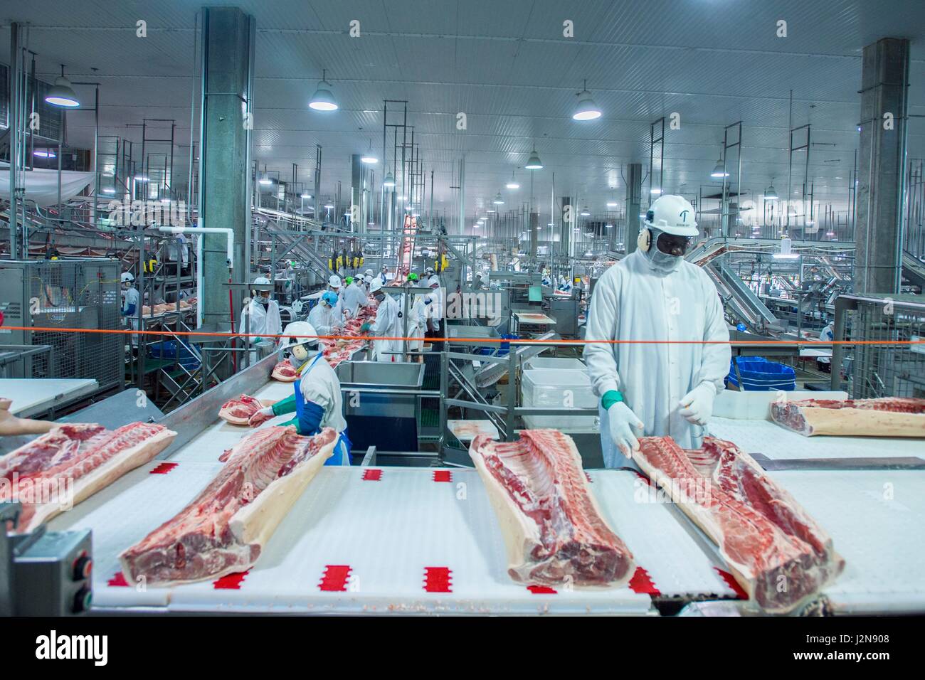 Arbeiter auf der Linie bei Triumph Lebensmittel Schweinefleisch verarbeitenden Anlage 28. April 2017 in St. Joseph, Missouri. Stockfoto