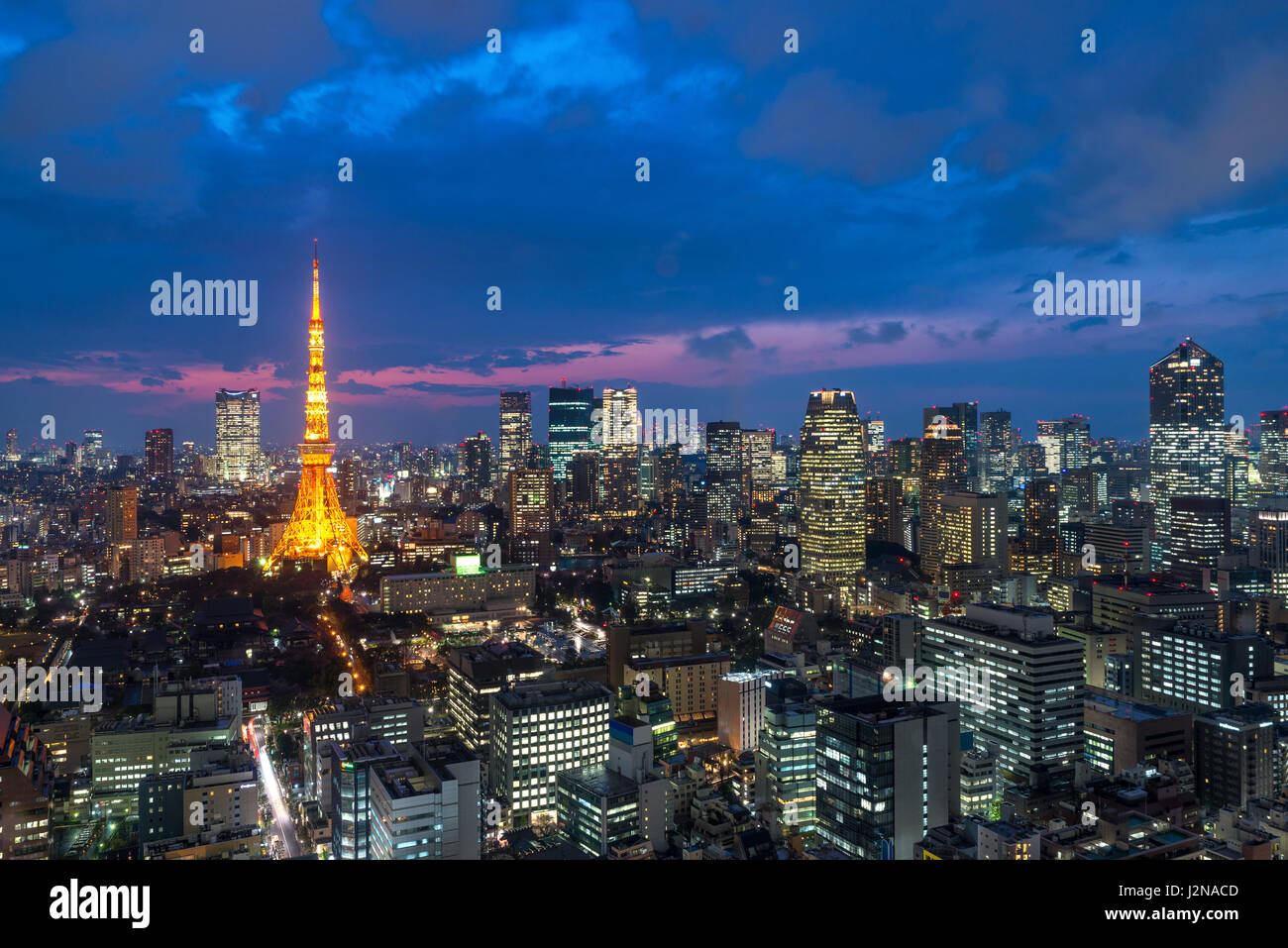 Tokio bei Nacht Blick auf Tokyo Tower, Skyline von Tokyo, Tokyo-Japan Stockfoto